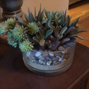 Fake succulent
